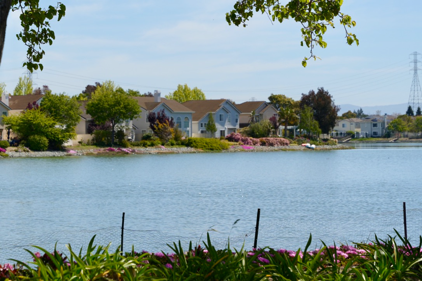 Neighborhood Neighborhood-10