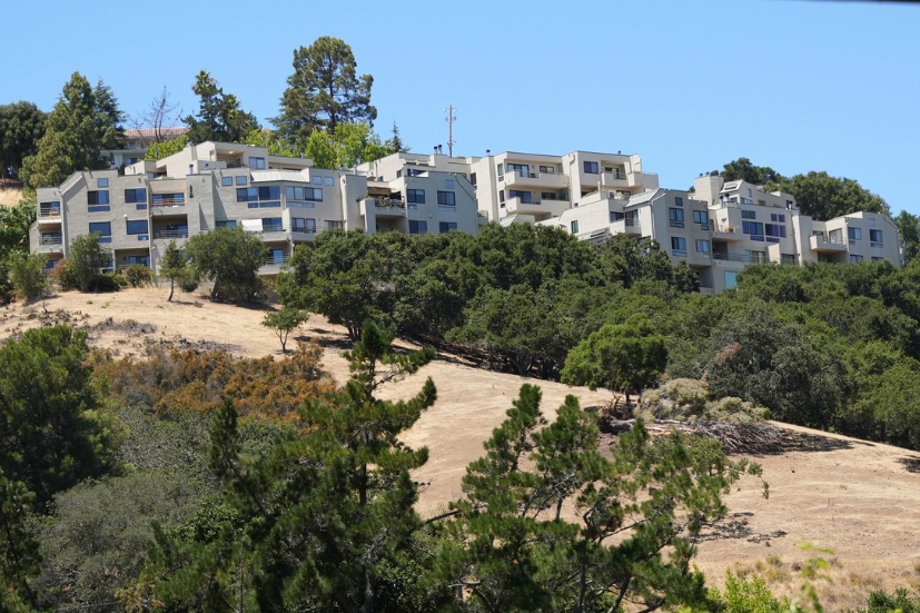 Neighborhood Neighborhood-127