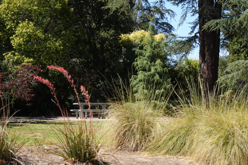 Neighborhood Neighborhood-16