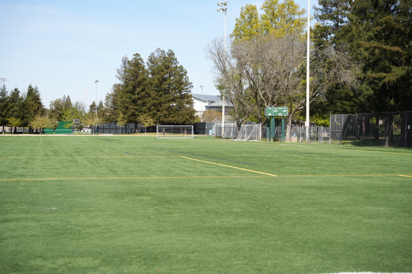 Neighborhood Neighborhood-50