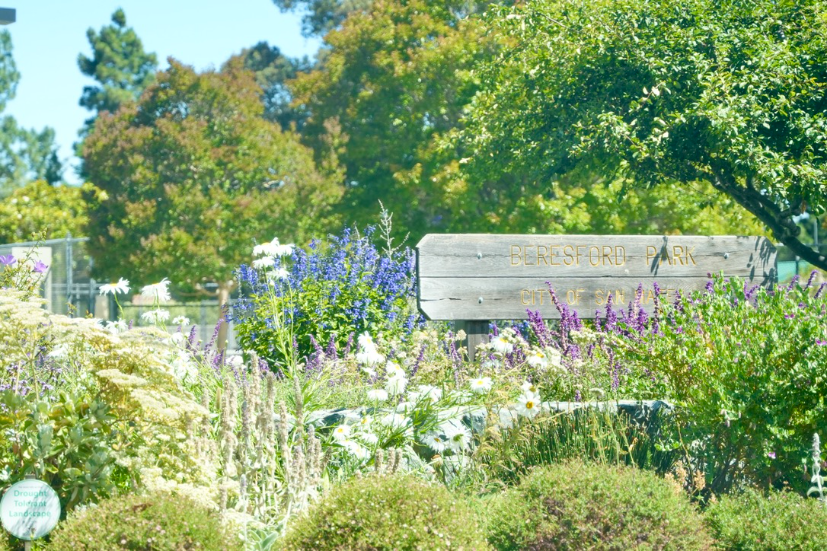 Neighborhood Neighborhood-38