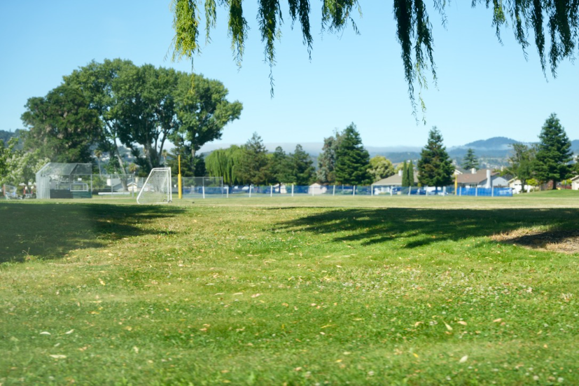 Neighborhood Neighborhood-40