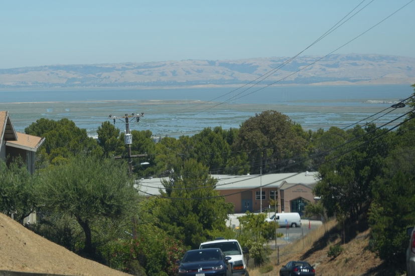 Neighborhood Neighborhood-42