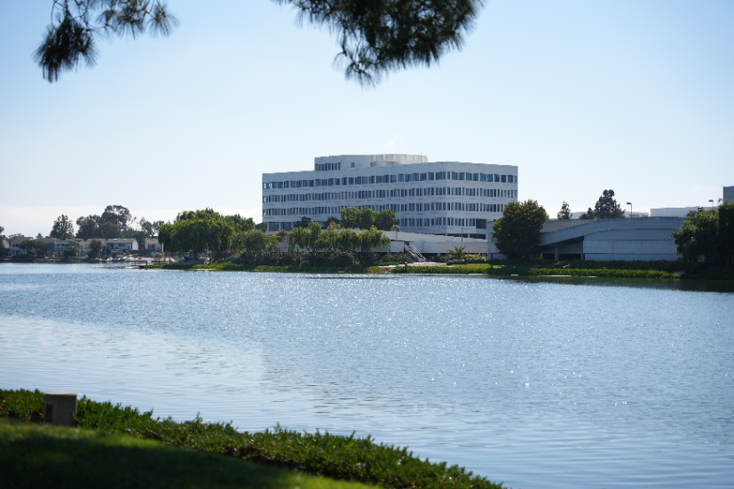 Neighborhood Neighborhood-2