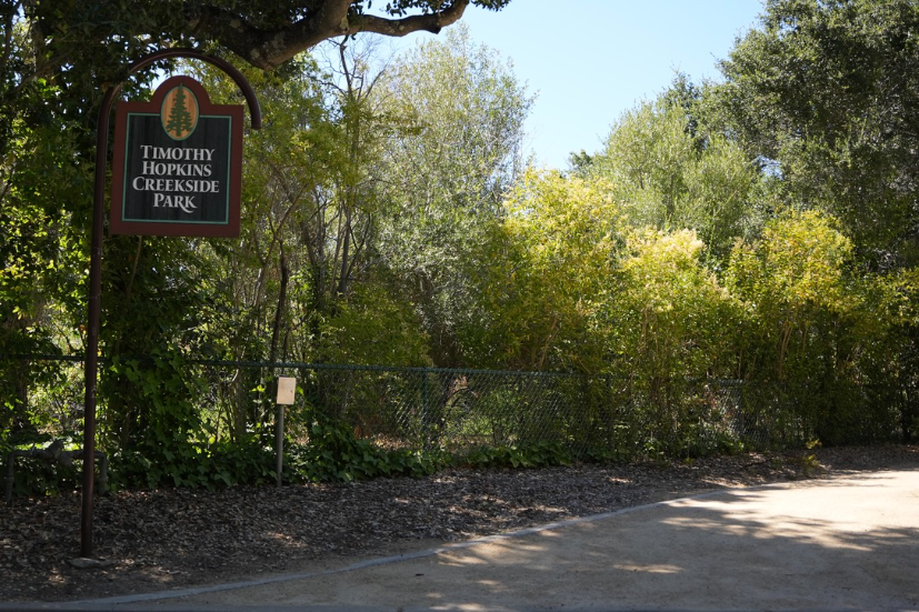 Neighborhood Neighborhood-17