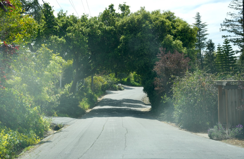 Neighborhood Neighborhood-107