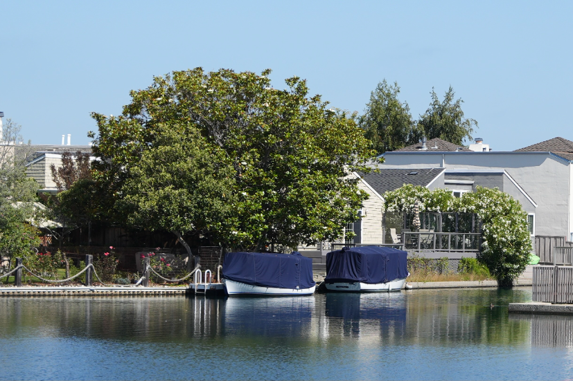 Neighborhood Neighborhood-41