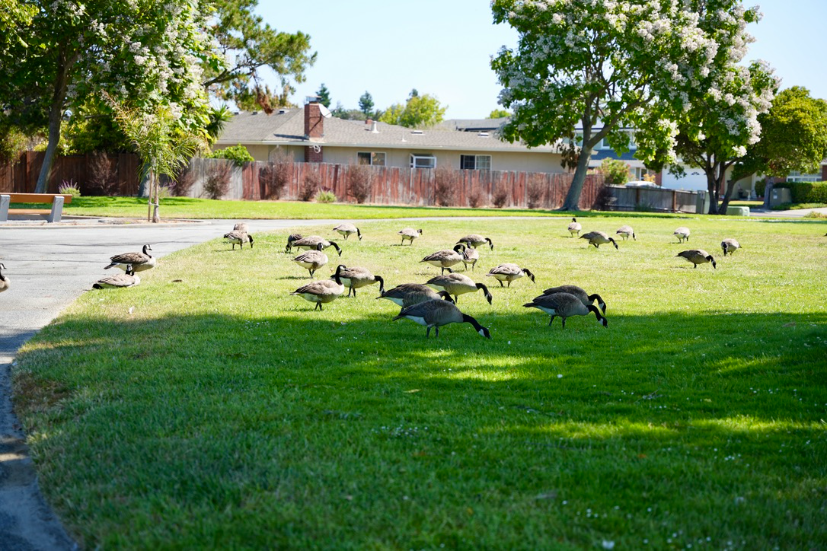 Neighborhood Neighborhood-39