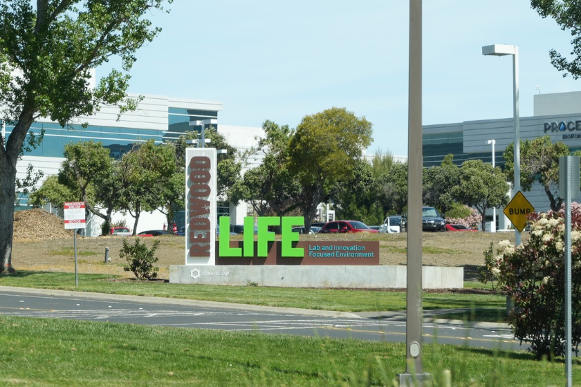 Neighborhood Neighborhood-6