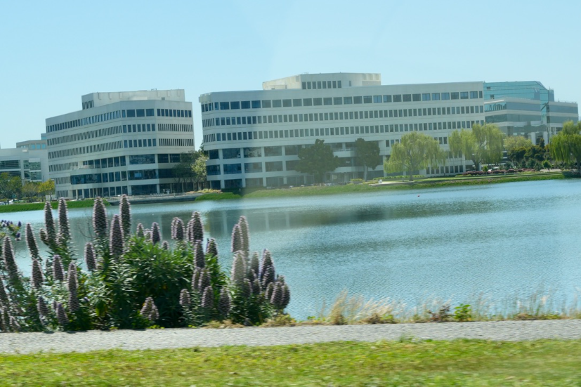 Neighborhood Neighborhood-7