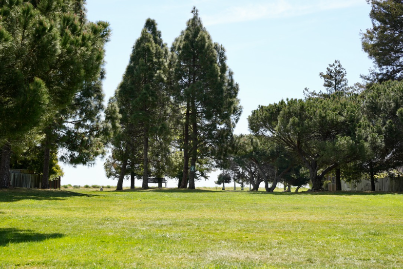 Neighborhood Neighborhood-5