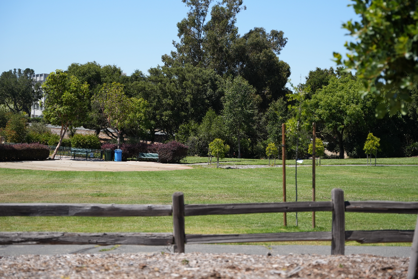 Neighborhood Neighborhood-4